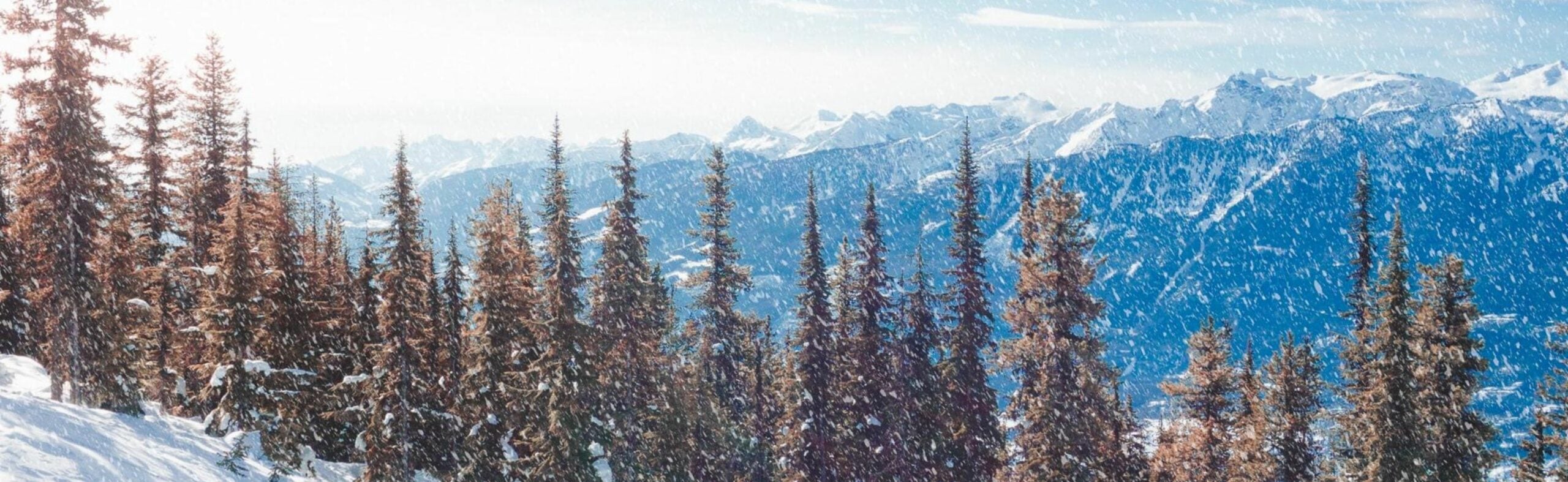 revelstoke-banniere-jpg