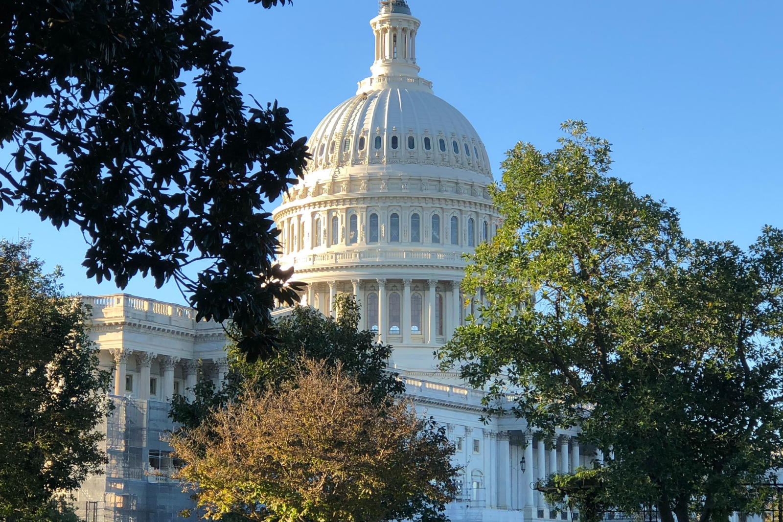 vignette-washinton-dc-png