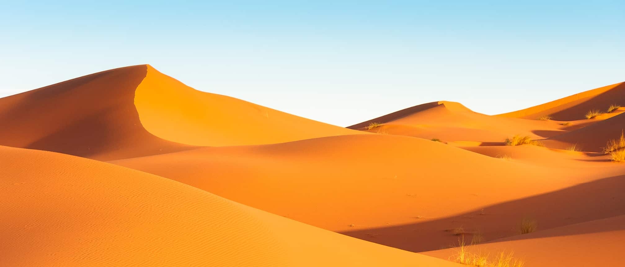 header-219-5