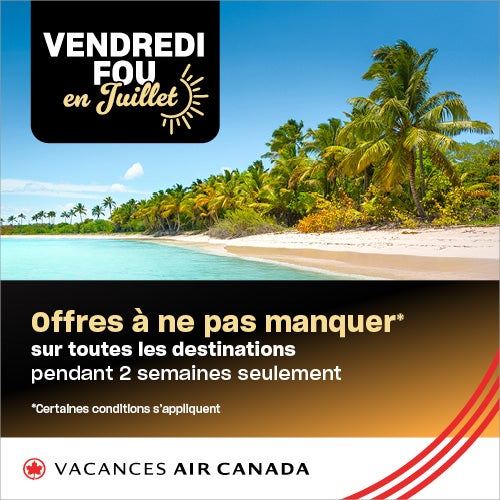 mce-34505-black-friday-in-july-sales-partner-banners-laurier-vallon-500x500