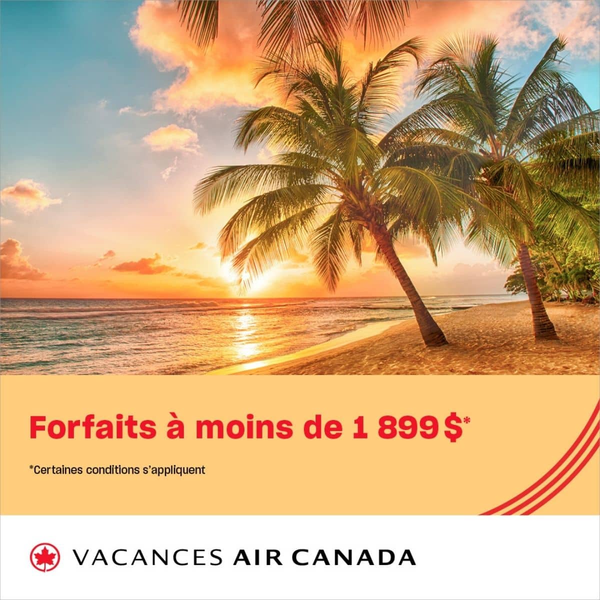 vignettes_promotions